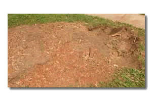 Dallas stump Removal
